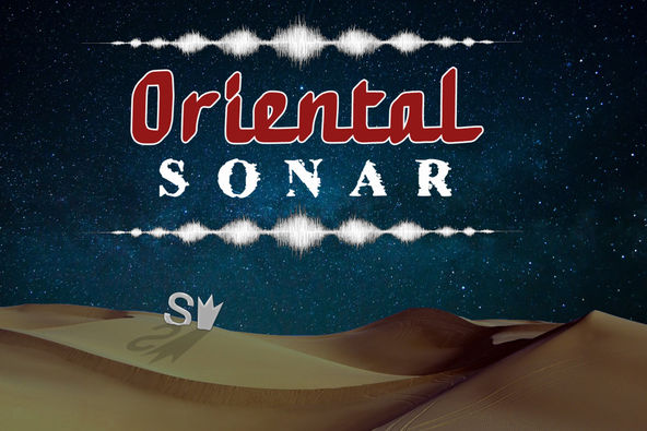 ORIENTAL SONAR