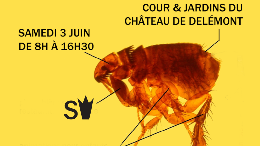Marché aux Puces du SAS