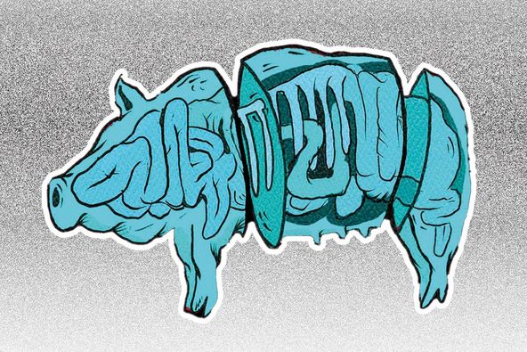 PPNF 1/6 : TARTAR DE SONS