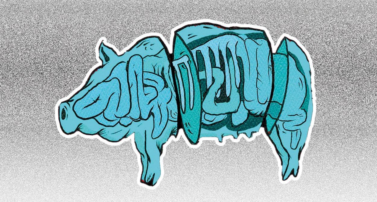 PPNF 1/6 : TARTAR DE SONS